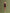 BREVIS mini dress chocolate
