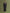 IZK long trench coat