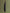IZK long trench coat