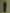IZK long trench coat