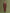 IZK long trench coat