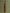IZK long trench coat